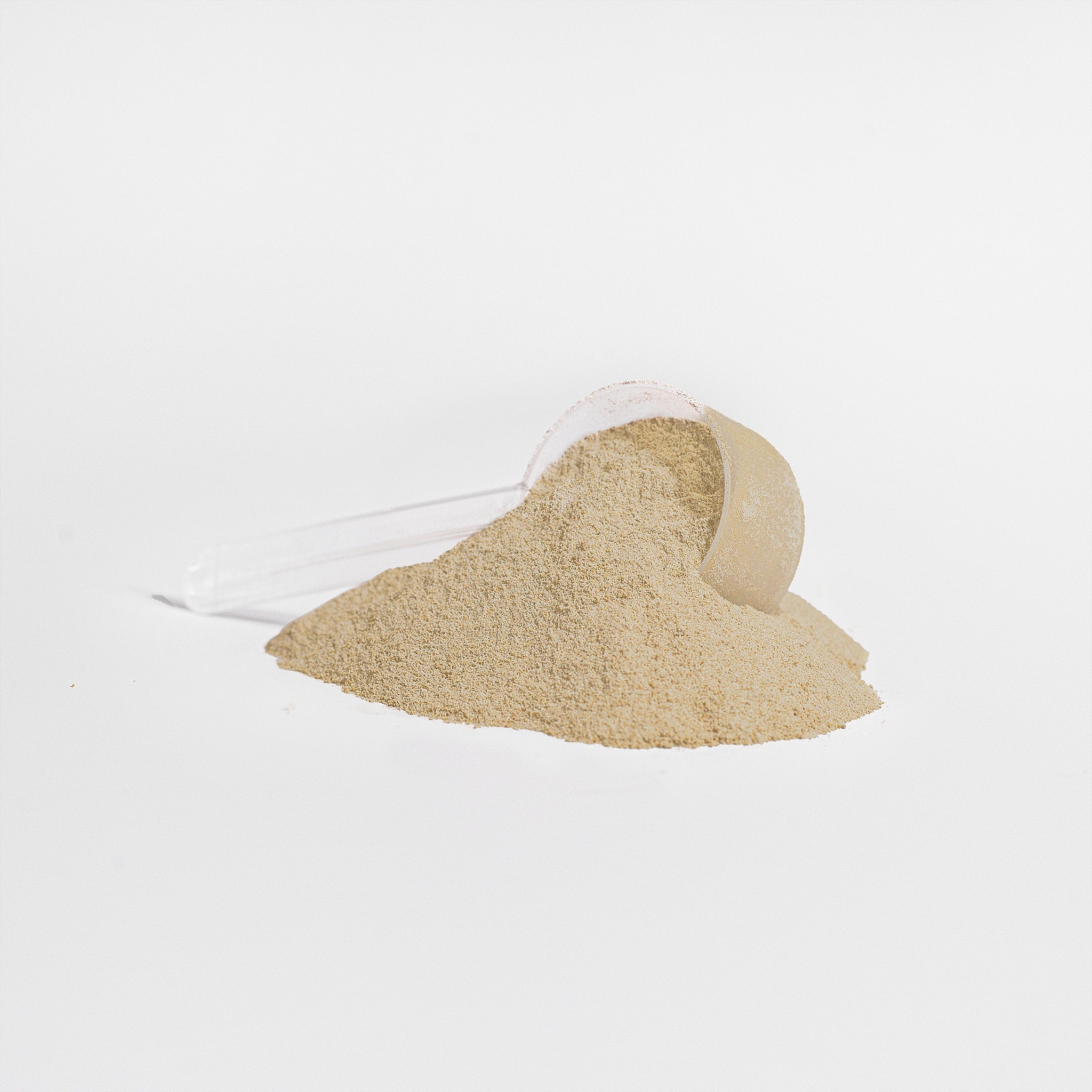 Plant Protein Powder – Vanilla Flavor, Vegan & Muscle Recovery Formula - Image #0